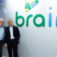 brain