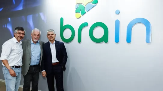 brain